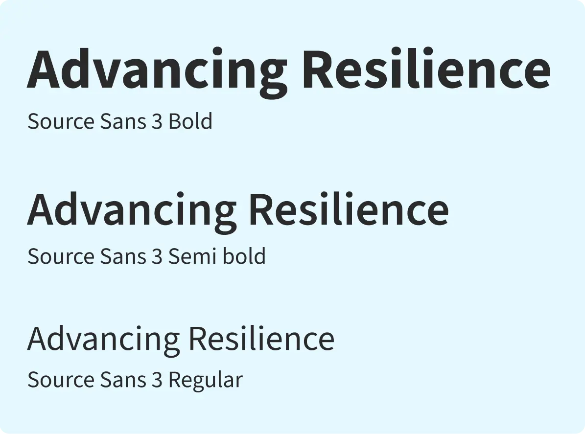 ADB FCAS-SIDS 2024 report design system — typography and colour components